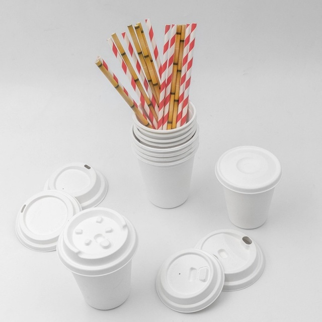 Biodegradable Eco-Friendly Drinkware