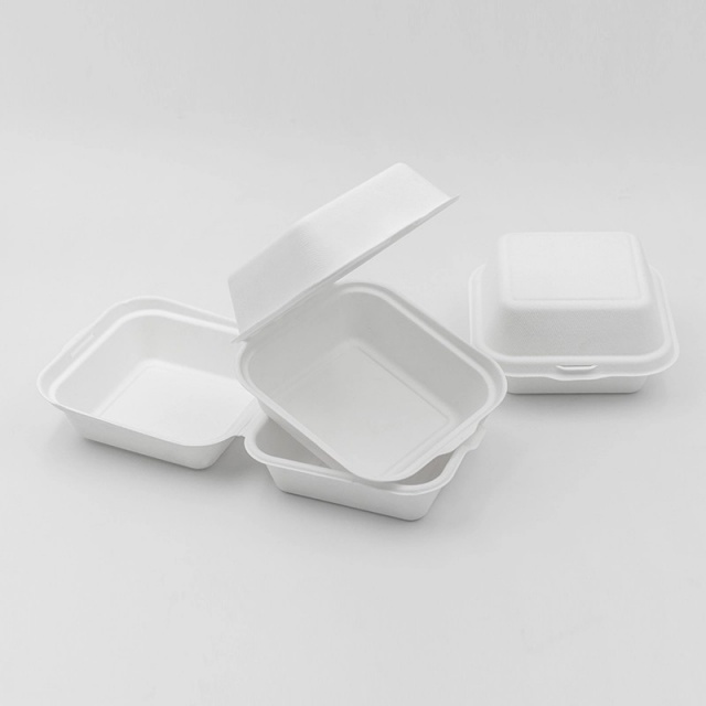 Compostable Lunch Box