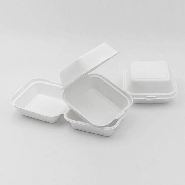 Caja de almuerzo de Compostable